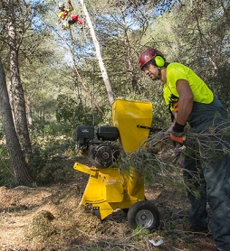 Trabajos forestales